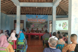 Petani Milenial di Kapanewon Patuk Diajak Menanam Bawang Merah