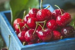 Buah Ternyata Ceri Aman untuk Diabetes, Ini Penjelasan Ahli