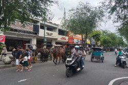Penumpang Andong Malioboro Meningkat saat Libur Sekolah, Ini Faktanya