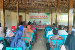 Beternak Ayam Joper Bisa Jadi Solusi untuk Peningkatan Kesejahteraan