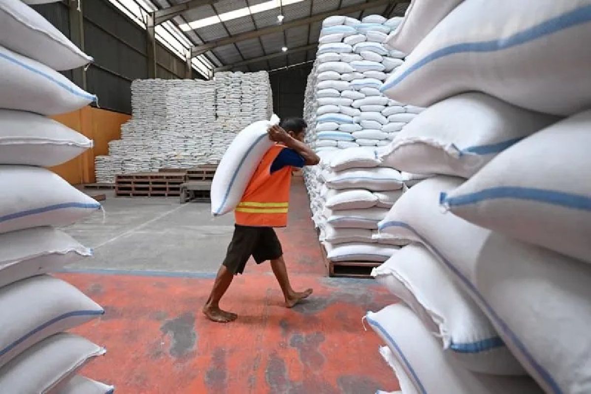 Stok Beras 5,2 Juta Ton, Harga Dijamin Stabil Meski Kemarau