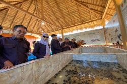 DPR RI Soroti Minimnya Fasilitas Konservasi Penyu Pantai Goa Cemara