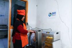 Dari Pala Jadi Peluang, AURA BRI Peduli Perkuat Kapasitas KWT