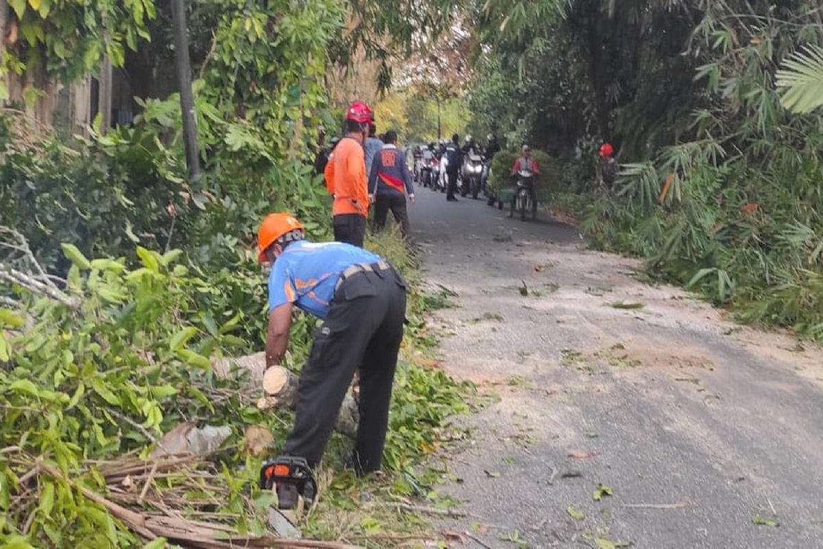 Pemotor Tertimpa Pohon Tumbang di Turi, Dirawat di RSUD Sleman