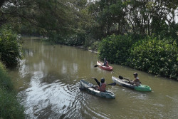 Berawal dari Mangrove, Kano Maritim Baros Kini Gerakkan Ekonomi