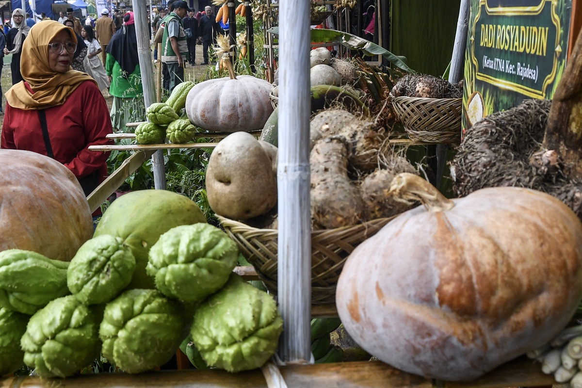 Kebun Sekolah di Bantul Didorong Jadi Sarana Belajar Ketahanan Pangan