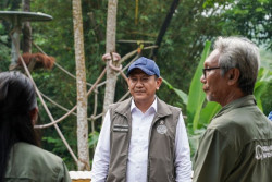 Wamenhut Lepas Empat Orangutan Sumatera Hasil Rehabilitasi ke Habitat