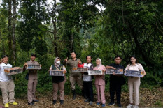 200 Burung Liar Tanpa Dokumen Gagal Diselundupkan di Ketapang