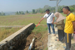 5.000 Lele Mati di Kolam KDMP Boyolali, Diduga Diracun