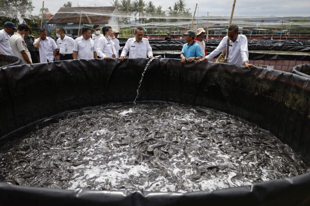 Bantul Bangun 20 Kolam Ikan per Kalurahan, Produksi Ditarget Naik