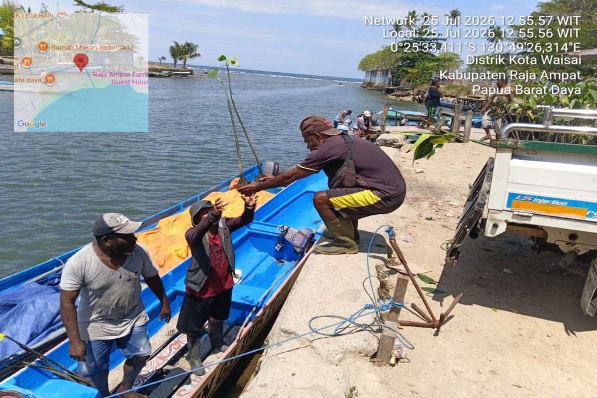 Kemenhut Tanam 900 Bibit Mangrove untuk Pulihkan Pesisir Raja Ampat