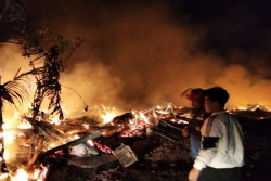 Tiga Kandang Ayam di Sragen Terbakar, 54.000 Ekor Mati Terpanggang