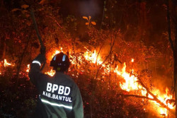 Kebakaran Lahan Bantul Melonjak, Wukirsari Tiga Kali Terbakar