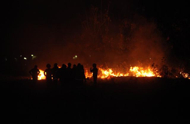 Kebakaran Lahan Meningkat, DPRD Bantul Dorong Pengawasan hingga RT