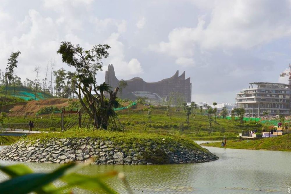 IKN Disiapkan Jadi Model Rehabilitasi Mangrove untuk Empat Provinsi