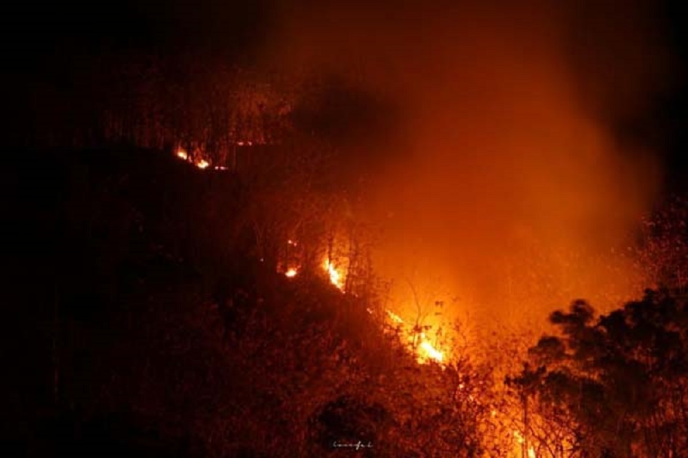 Kebakaran Hutan di Prancis Diklaim Mulai Terkendali