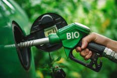 Harga CPO 2026 Diproyeksi Tetap Tinggi, B50 dan El Nio Jadi Penopang