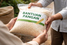 Bansos Beras Mulai 17 Agustus, Bisa Diambil di Kopdes Merah Putih