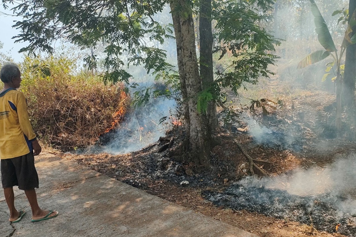 Kebakaran Lahan di Gunungkidul Tewaskan 2 Lansia, Kasus Melonjak