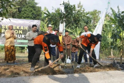 Dompet Dhuafa Salurkan 540 Bibit Pohon Produktif untuk Warga Bantul