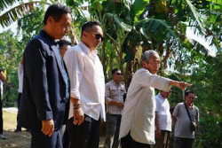 Talud Sungai Opak Rusak Parah, DPRD DIY Desak Penanganan Segera