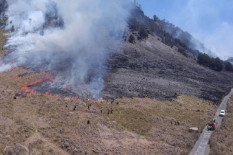 Kebakaran Gunung Bromo Meluas, Api Merambat ke Arah Bukit B29