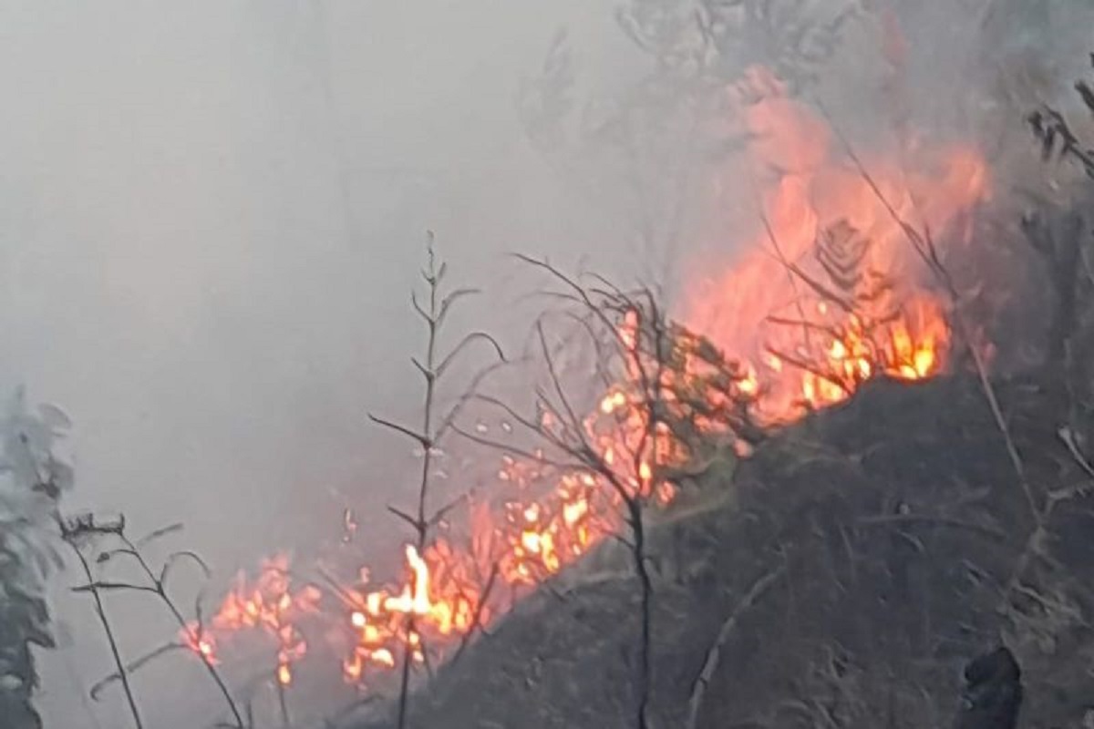Kebakaran Meluas, Seluruh Akses Wisata Gunung Bromo Ditutup