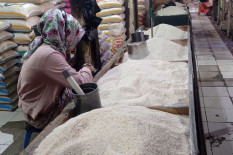 Beras Fortifikasi Bermasalah, Bapanas Siapkan Penertiban Besar