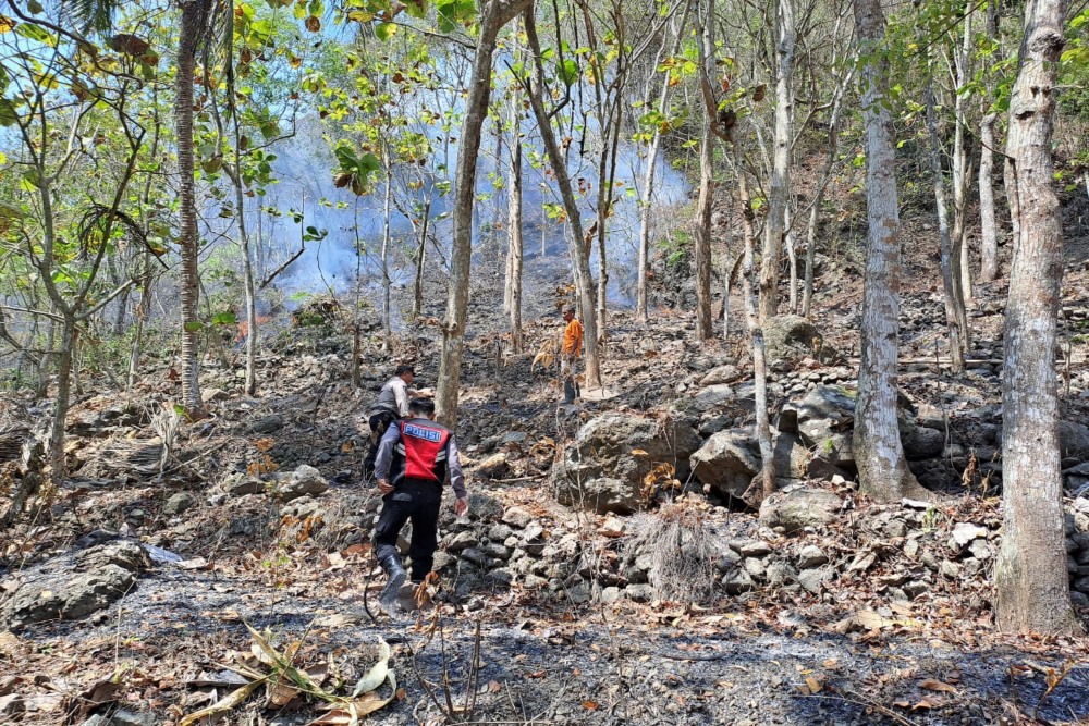 Kemarau Panjang, DPRD Kulonprogo Minta Waspadai Kebakaran Lahan