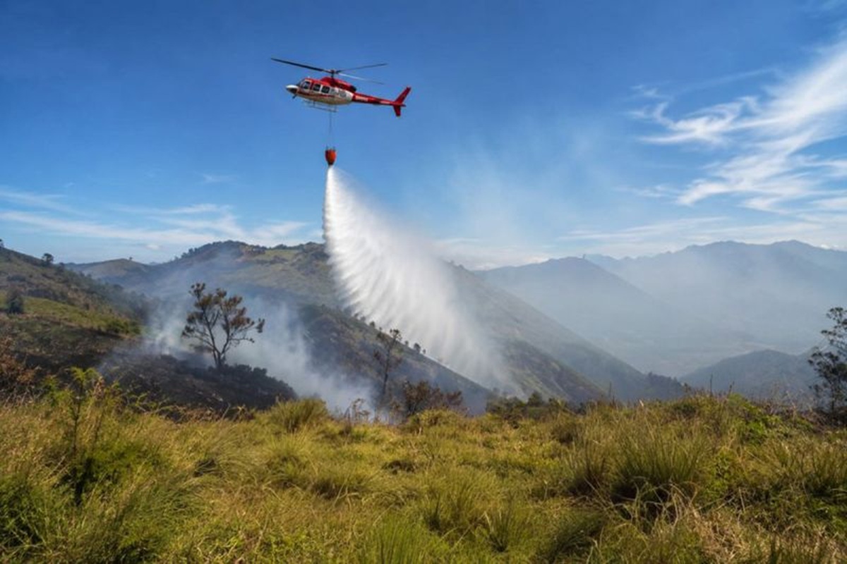 Karhutla Bromo di Tengah El Nino, Ini Ancang-ancang Pemerintah