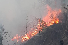 Karhutla Bromo Capai 550 Hektare, Diduga karena Human Error