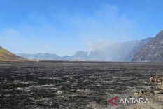 Karhutla Bromo Capai 899,35 Hektare, Tim Gabungan Kejar Titik Api