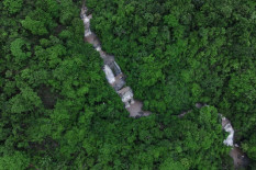 Pemerintah Perketat Larangan Bakar Lahan, Pelanggar Terancam Pidana