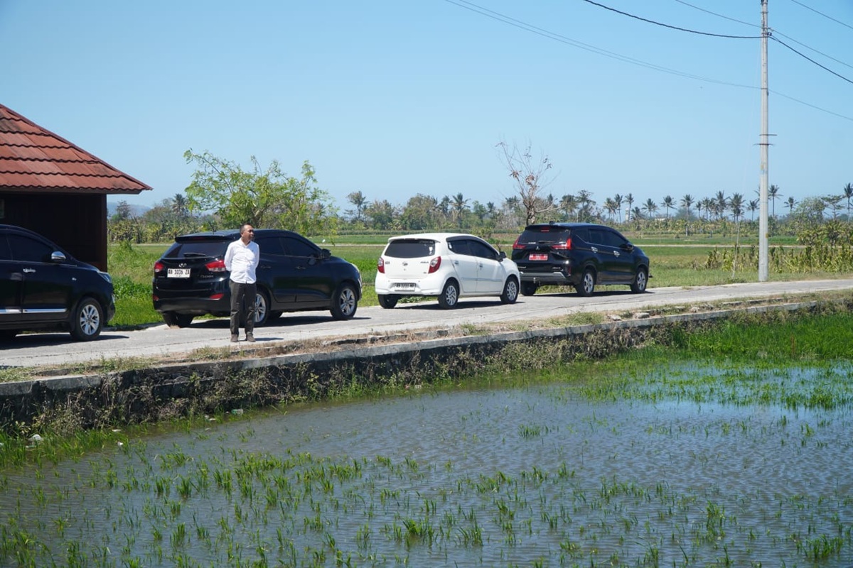 Gelombang Tinggi Sumbat Aliran Air, 55 Ha Lahan di Kretek Terendam