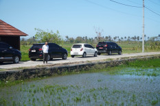 Gelombang Tinggi Sumbat Aliran Air, 55 Ha Lahan di Kretek Terendam