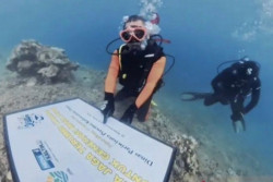 75 Fragmen Karang Ditanam di Pulau Miang, Ini Tujuannya