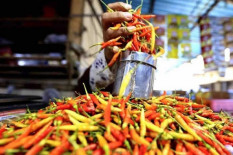 Harga Pangan Hari Ini, Cabai Rawit Tembus Rp67.350