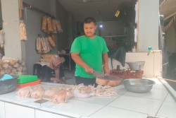 Daging Ayam Gunungkidul Rp42.000 per Kg, MBG Jadi Sorotan