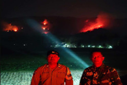Kebakaran 4 Hektare di Bantul, 3 Titik Api Masih Menyala