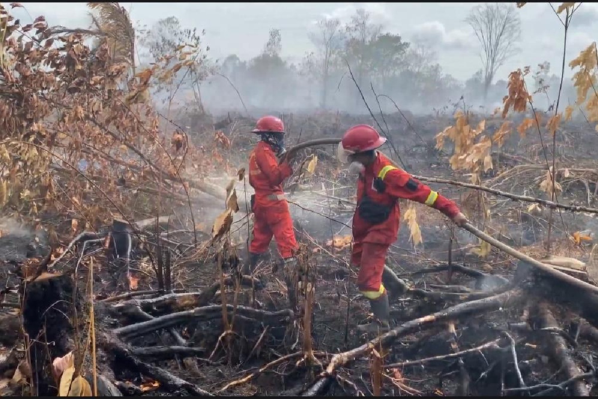Pemerintah Kerahkan 52 Pesawat Tangani Karhutla Sumatra-Kalimantan