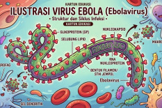 Ebola di RD Kongo Menyebar Cepat, 1.250 Tewas dalam 20 Hari