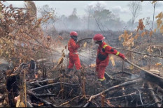 11.869 Titik Panas Terdeteksi di Kaltim, BMKG Minta Warga Waspada