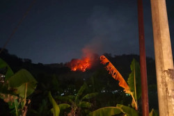 Gunung Gandul Wonogiri Terbakar Dua Kali, 4 Hektare Ludes
