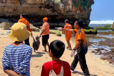 2 Penyu Mati di Gunungkidul, Satlinmas Ungkap Kondisinya