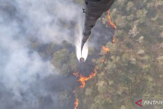 Karhutla Palembang Dipadamkan TNI AU dengan Water Bombing