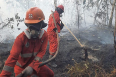 Otorita IKN Waspadai Karhutla di Tengah El Nino, Ini Antisipasinya