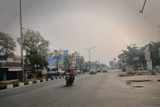 Kualitas Udara Pekanbaru Sangat Tidak Sehat, Kabut Asap Ganggu Jarak Pandang