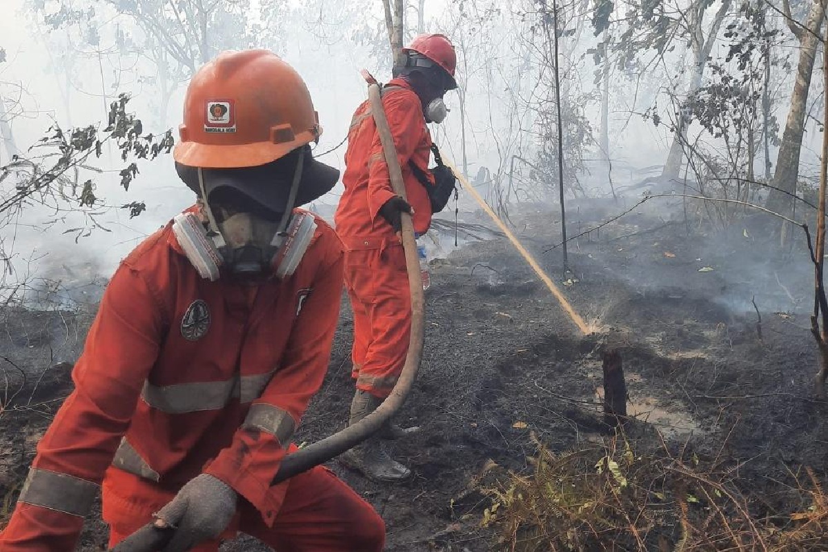 Polri Kejar Pemodal di Balik Kasus Pembakaran Hutan Sumatra-Kalimantan