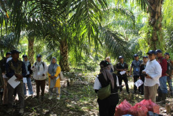 Program Folur Latih 60 Penyuluh Kopi dan Sawit, Libatkan Perempuan