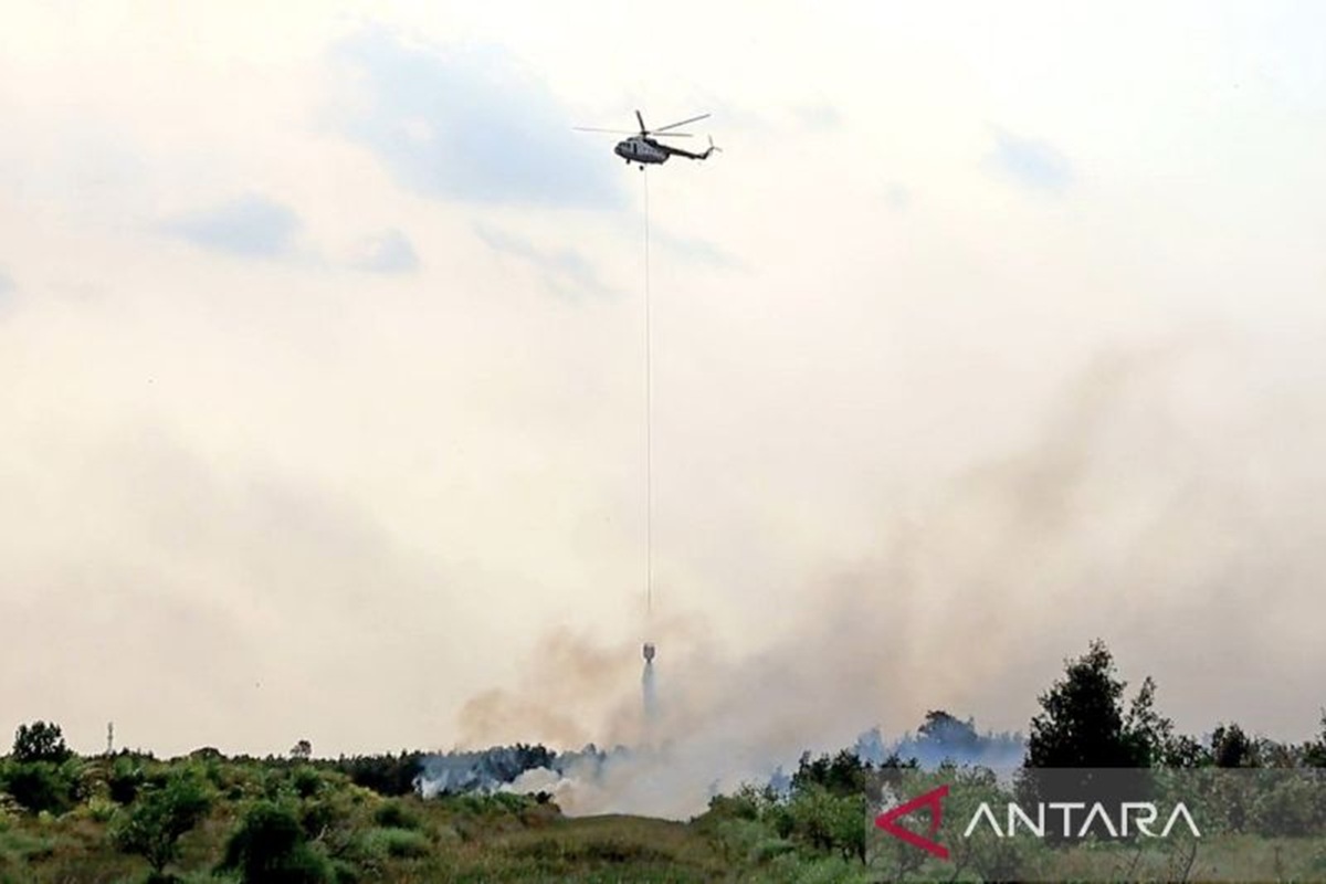 Padamkan Karhutla di Kalsel, TNI AU Kerahkan Caracal hingga Mi-17